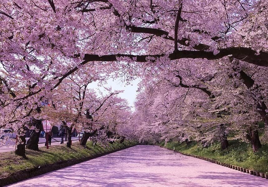 🏞️ 피로야마 공원 (히로야마 공원) 이미지 7